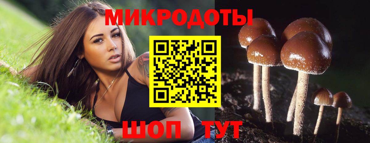 Баксан  Галлюциногенные грибы Psilocybe  Псилоцибиновые грибы Magic Shrooms  Вход с VPN 